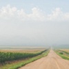 between the fields
