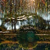 Dead River View #27