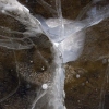 BlackIce_No.1