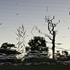 Dead River View #33