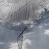 _06A1049.2