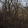 nippersink oaks 4