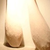 Bas Fisher Invitational Installation