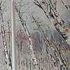 Aspen Winter Reverie tryptich