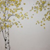 Aspen Study Triptych /c