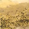 the pebble in the brook secretly thinks itself a precious stone