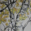 Aspen study II