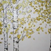 Aspen Study Triptych /a