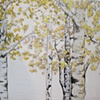 Aspen Study Triptych /b