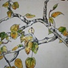Aspen Branch study