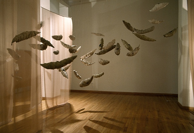 pod's installation 2