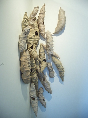 pod nestling