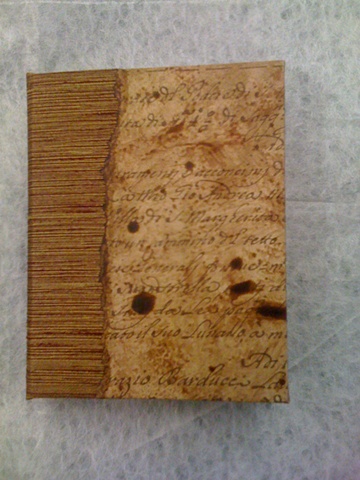 sculptural artist books, specimen shadow boxes