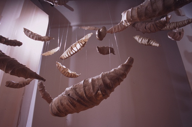 pod installation