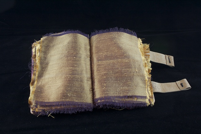 Bone and Silk Series - book 1 detail