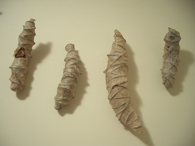 pod grouping