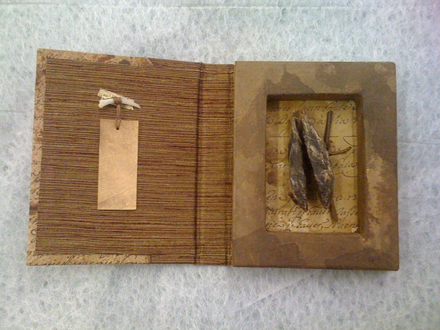 Specimen Series: metamorphosis two