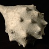 Papermaking Basics: Sculptural Armatures and Basic Technique
September 15th , 2012 10 - 4pm