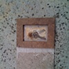 Curiosity Series 