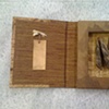 Specimen Series: metamorphosis two