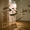 pod's installation 2