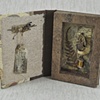 Specimen Series: metamorphosis four