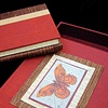 Book and Box of Natural Curiosities: A Unique Treasure
July 19 to July 30, 2010