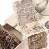 Little Bones - Detail