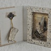 Specimen Series: metamorphosis two