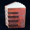 Brown Distressed Wooden Book