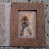 Specimen Series: keys & milkweed