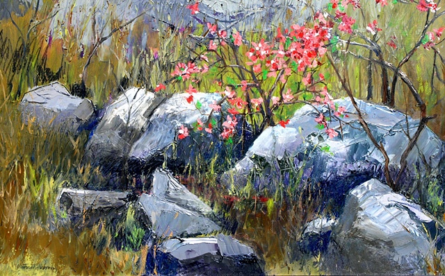 Rocks and Bush