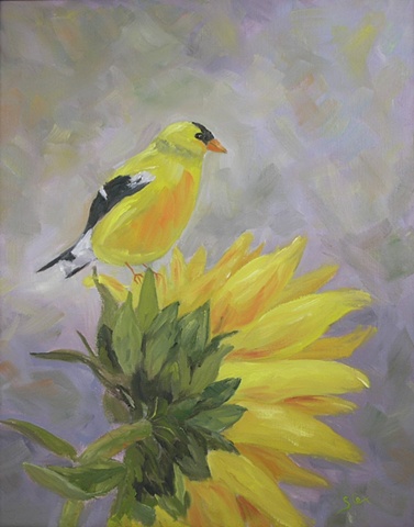 Sandy Cox, oil painter, bird, goldfinch