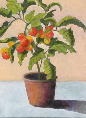 Grape Tomatos