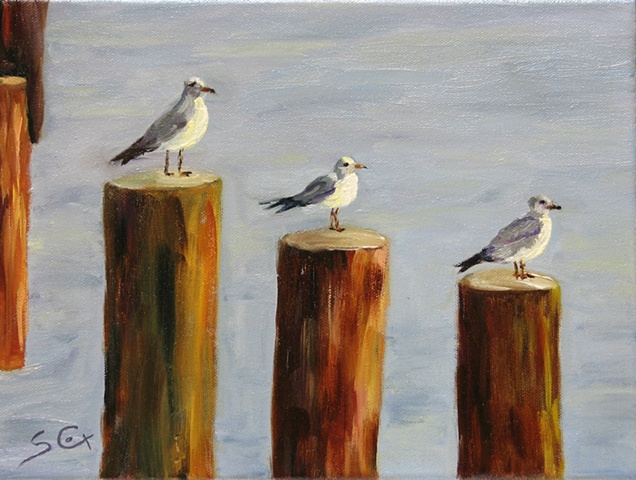 Sandy Cox, oil painter, sea gulls, seascape