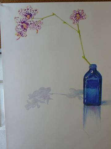 Orchids in Milk of Magnesia Bottle