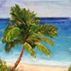 Lone Palm