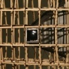 Pixelation detail 1