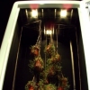 Cabinet - detail