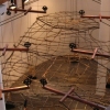 Water Gallery