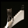 Balancing At New Heights detail 2