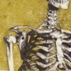 skeleton portrait