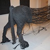 Vered Sivan- Equus