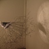 Sung Jin Choi- Wanderer