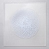 Sungmi Lee- Blue Karma 101 