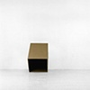 CURATORIAL PROJECTS ARCHIVE