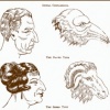 TOOTH & COMB SOCIAL CLUB, Mme. Nightingales Authentic Expert Face Readings