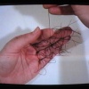 DONNA STACK, Handsewn