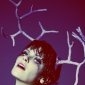 leather antlers
