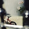 Urban Beauty Spots